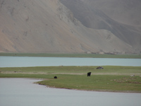 Karakul lake