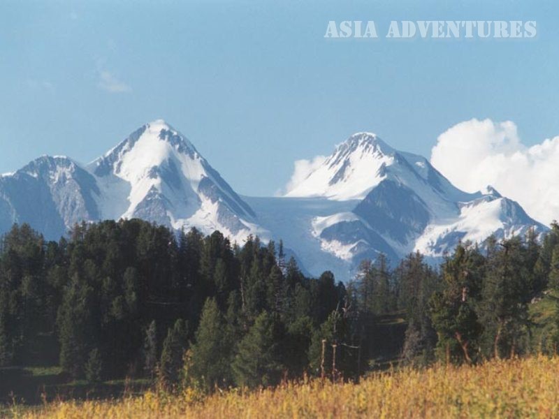 Reserves of Kazakhstan