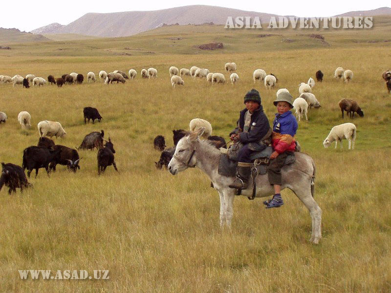 Юные чабаны близ озера Сон-куль, Кыргызстан