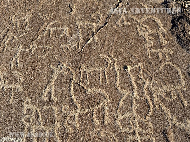 Petroglyphs of Vahany