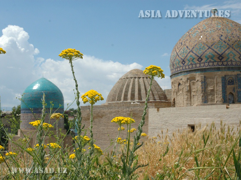 Domes of Shahi Zinda 