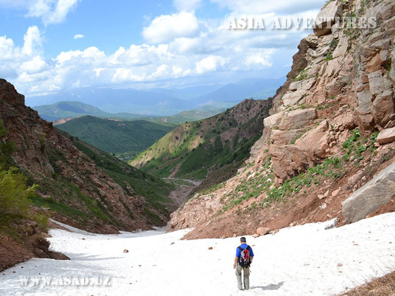 Nature Reserves, National Parks and Other Conservation Areas in the Territory of Uzbekistan