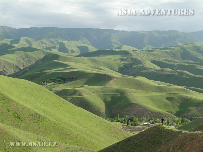 Nature Reserves, National Parks and Other Conservation Areas in the Territory of Uzbekistan