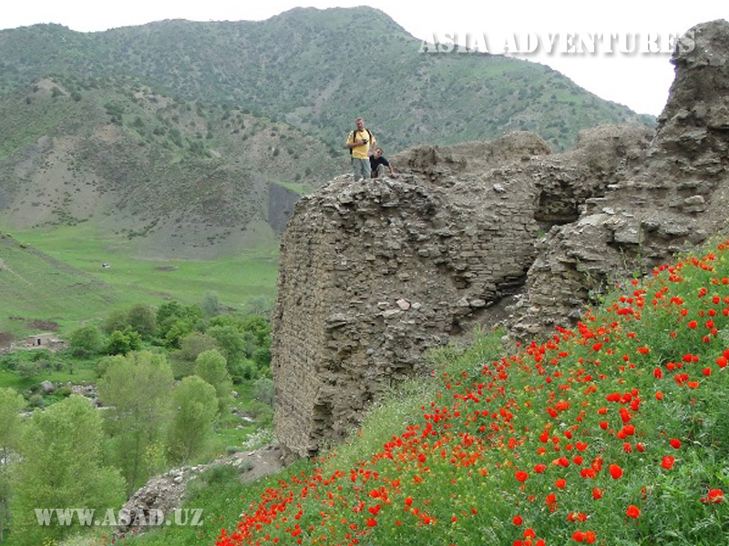 Государственные заповедники, национальные парки и другие охраняемые природные территории Узбекистана