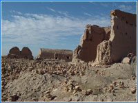 On Baktrian camel through Kyzyl-Kum desert