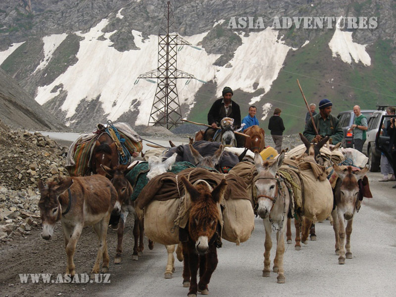 All Tajikistan. The Kingdom of Pamir mountains