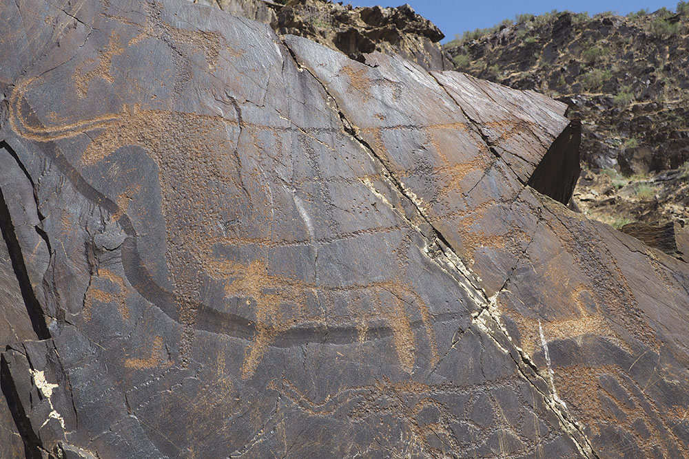 Excursion to the Park of Petroglyphs SARMYSH