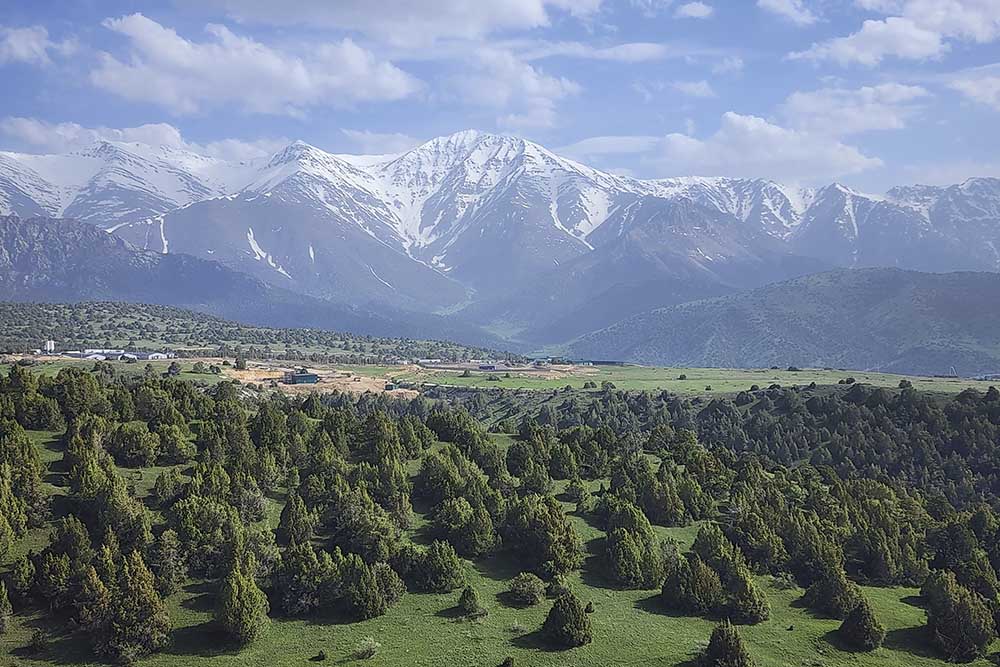 Zaamin - Uzbek Switzerland