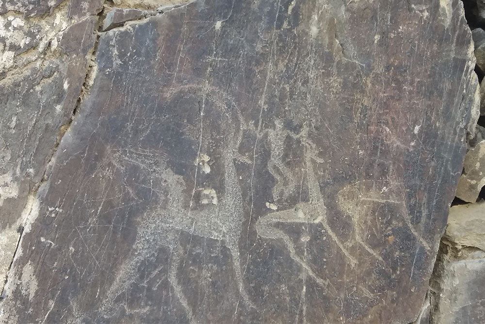 Excursion to the Park of Petroglyphs SARMYSH