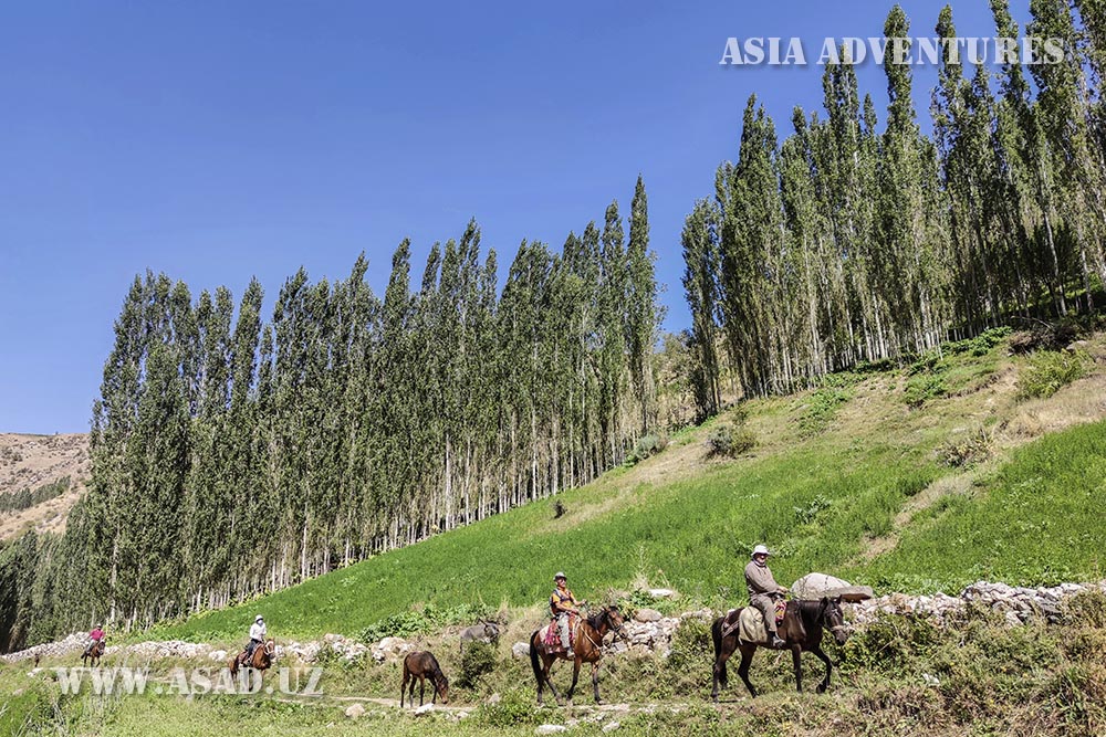 Horse riding in the Hissar mountains