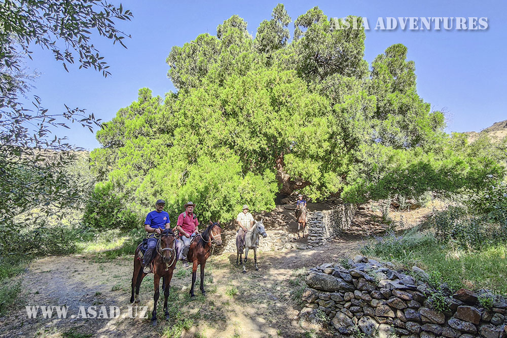 On horseback in the Nurata mountains
