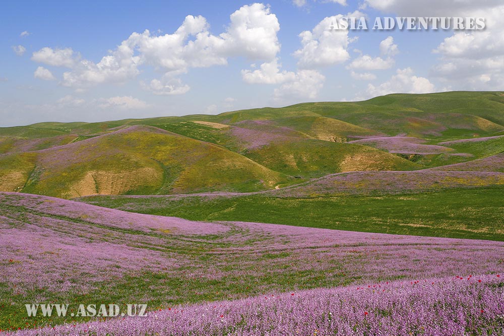 Photo tour – expedition. Uzbekistan – fabulous cities, nature and exotic villages