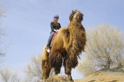 Экскурсия в пустыню Кызылкум